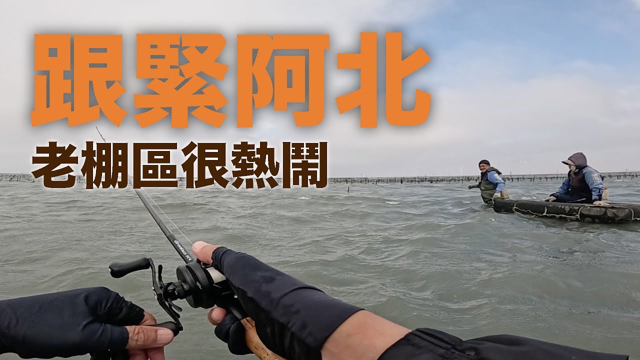 跟著採蚵阿北走，原來魚都在掛滿蚵仔的老棚區！ #LOONGZE #瀧澤B101 #黑牛 #黑格 #石鱸  #黑鯛 #穿針軟餌 #自由釣組 #波動小蝦 #南瓜綠嘎嘎咬 #BreniousXR25
