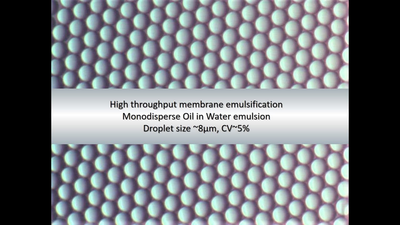 Monodisperse Oil in Water emulsion by membrane emulsification