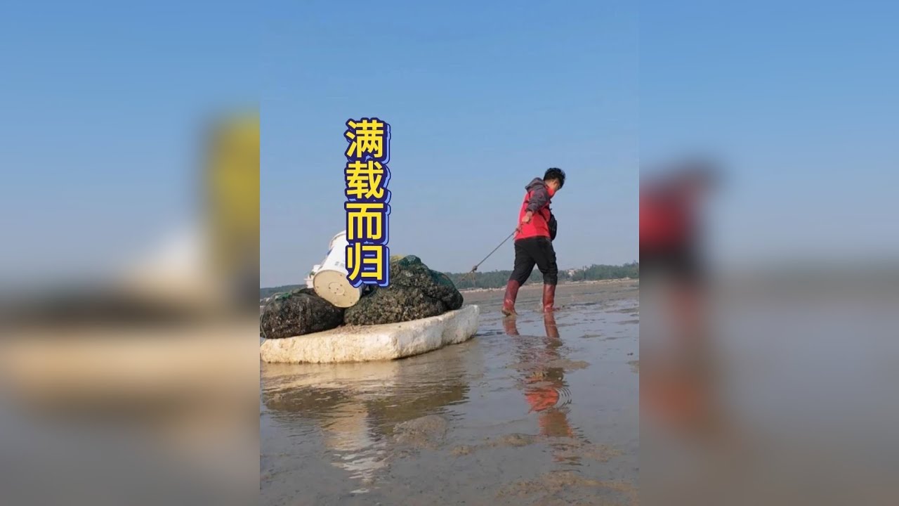赶海一天的收获吃十天。