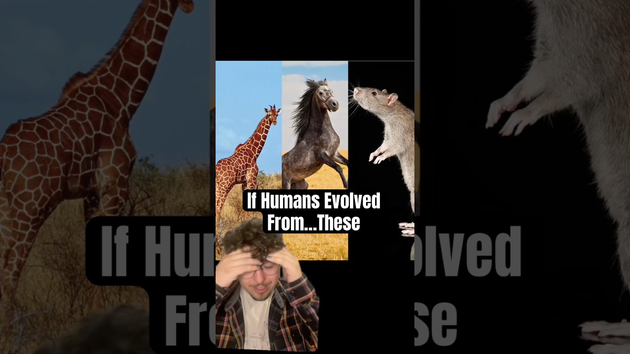 Если бы люди произошли от других животных #животные #шорты #искусство #specevo