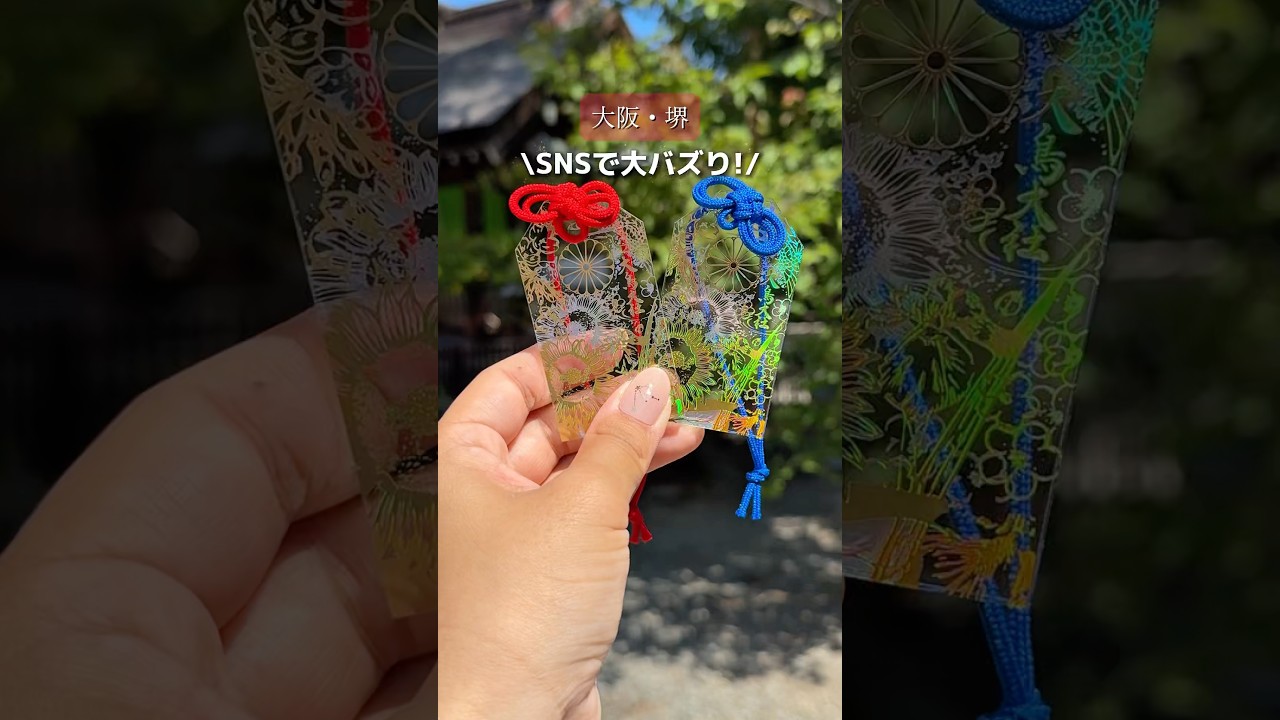 【大阪堺】SNSで大バズり！日本一眩しいキラキラ神社みんな知ってる?!