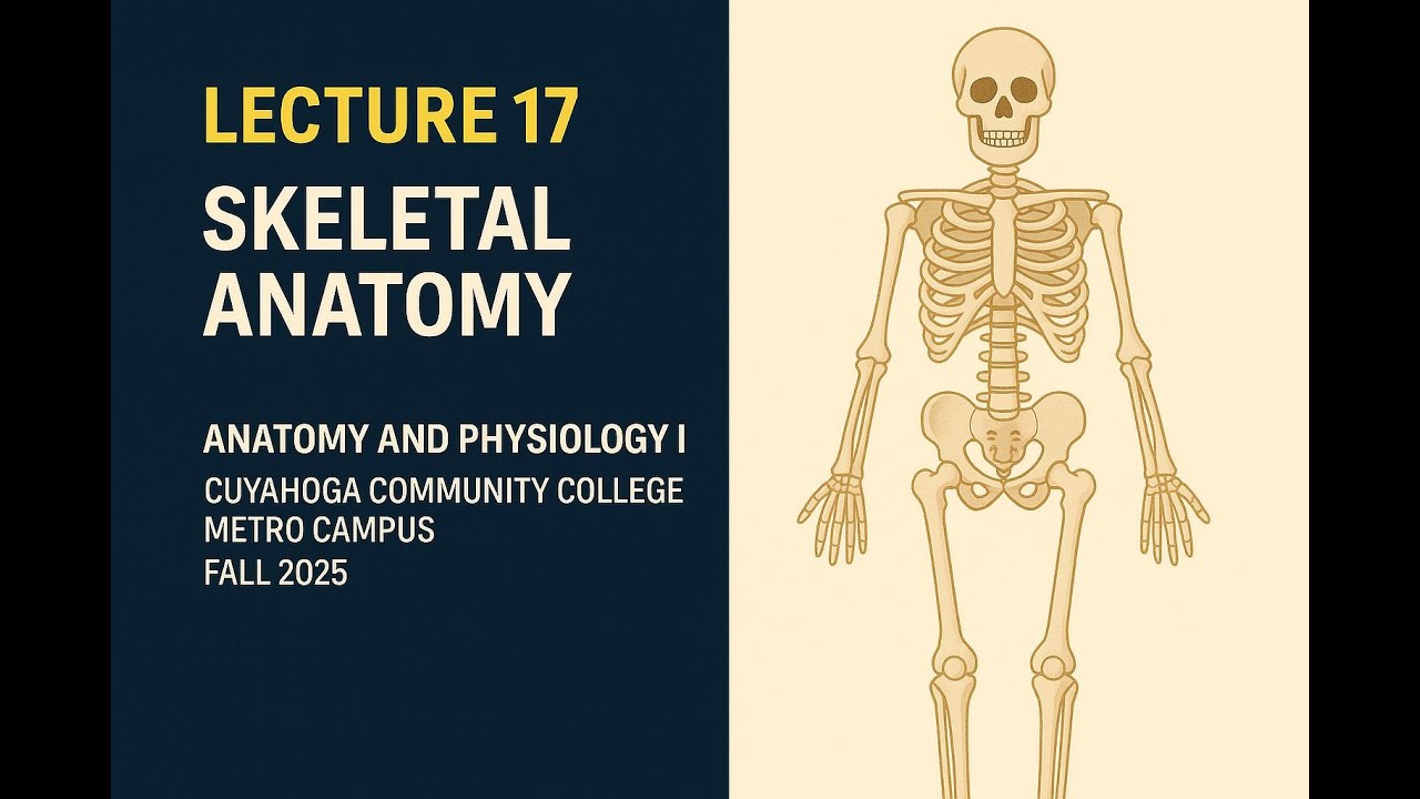 Lecture 17: Skeletal Anatomy | BIO 2331 Tri-C Anatomy & Physiology I