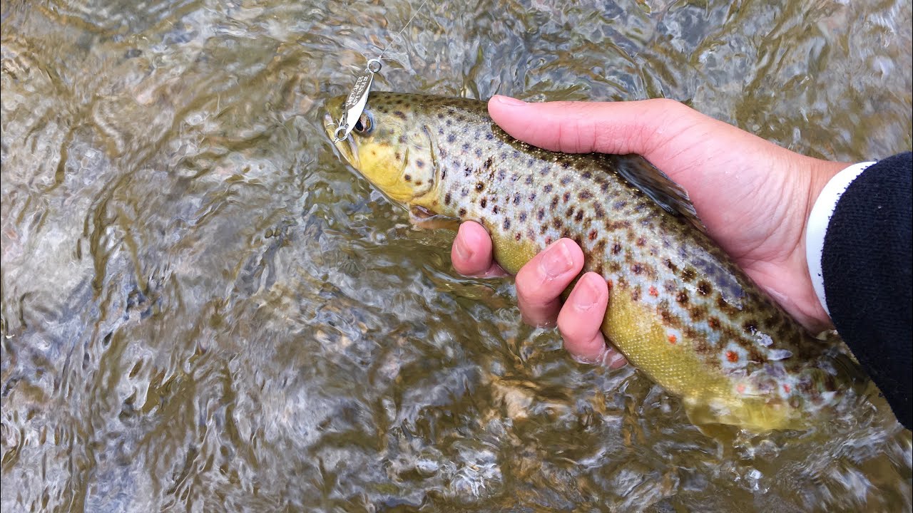 Spring Trout Fishing  with Spinners, Spoons, and Plastics