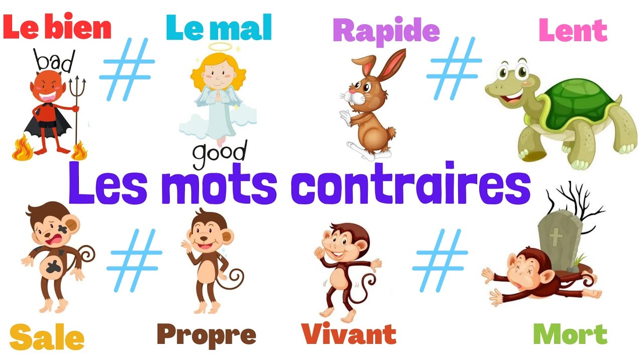 Apprendre les mots contraires en français.