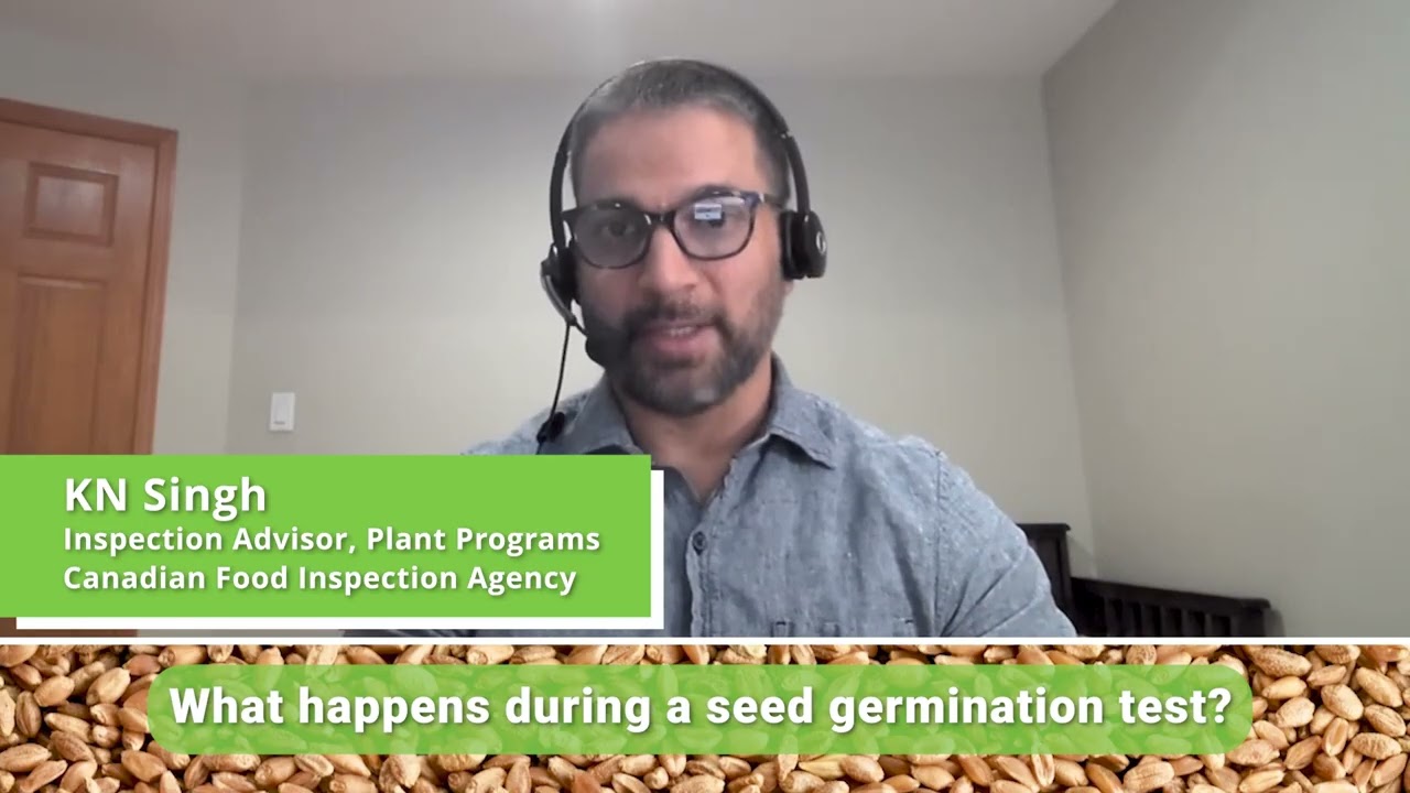 AgGronomyTV: Seed crop production in Canada: Part 1