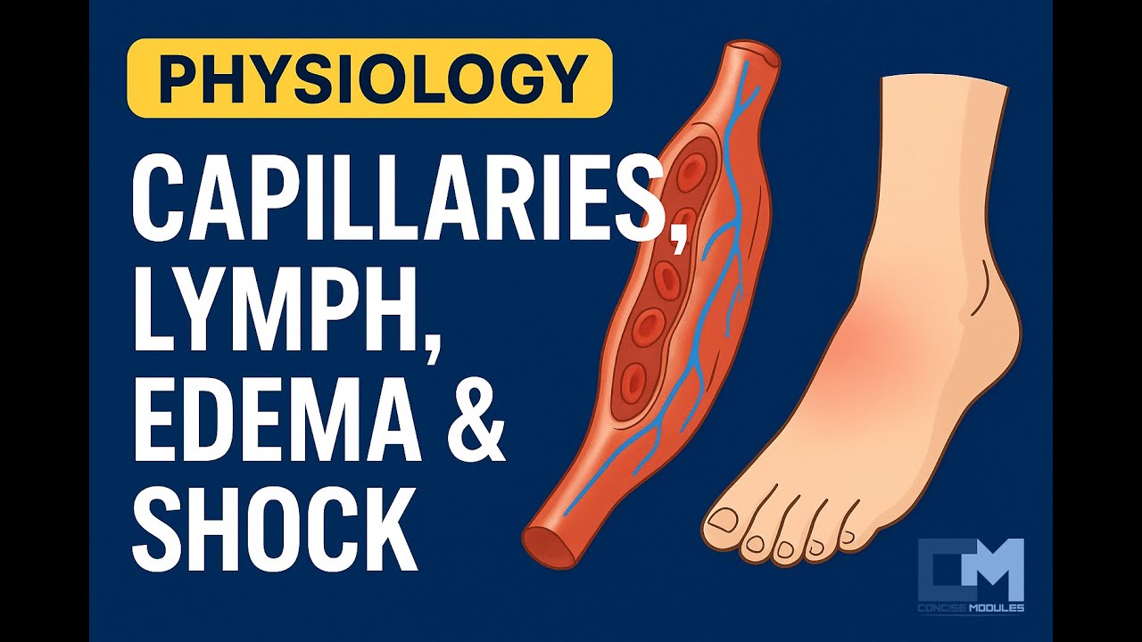 #Physiology #CVS  -  Capillary, lymph., edema & shock (part 1) | #Concise #Modules
