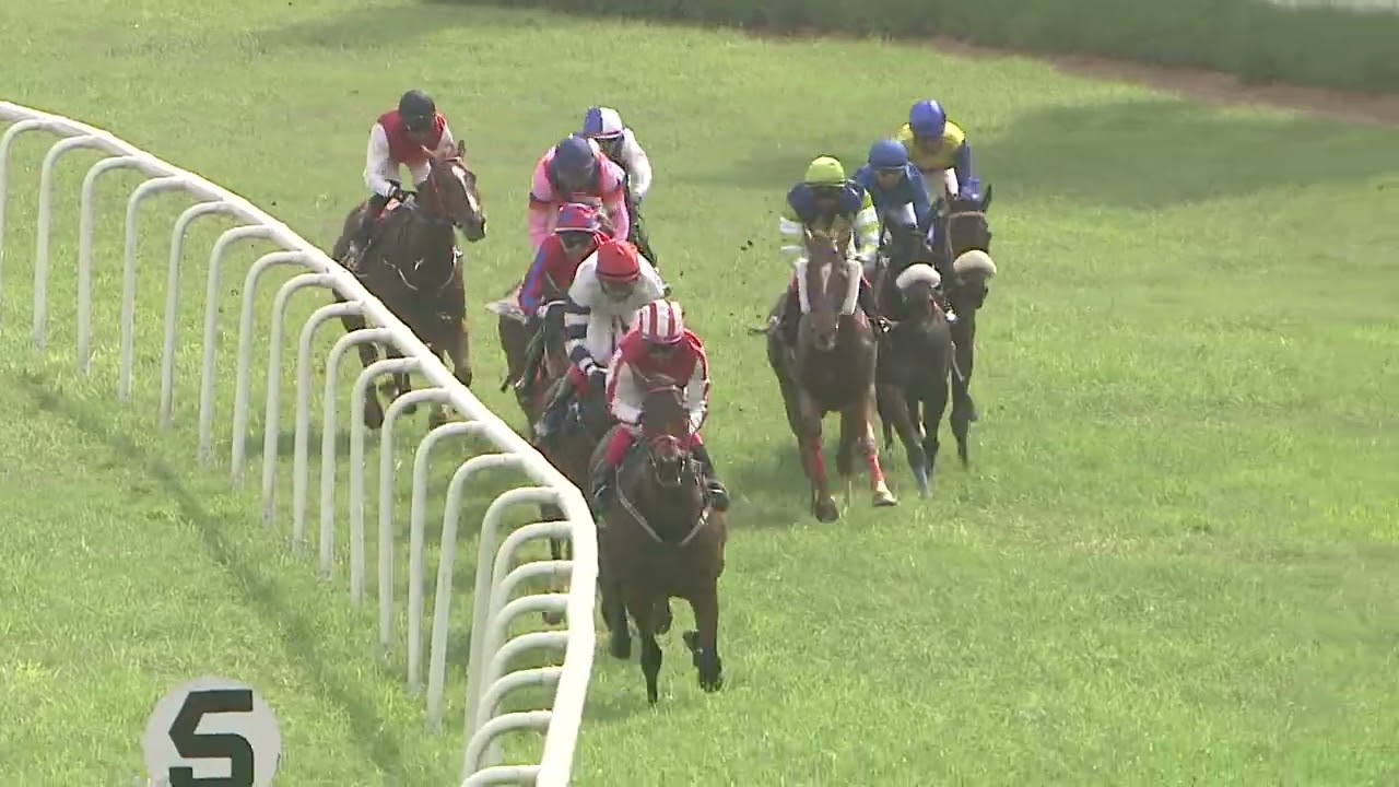 SPLENDID DREAM : THE MARILINGAIAH MEMORIAL TROPHY (57)