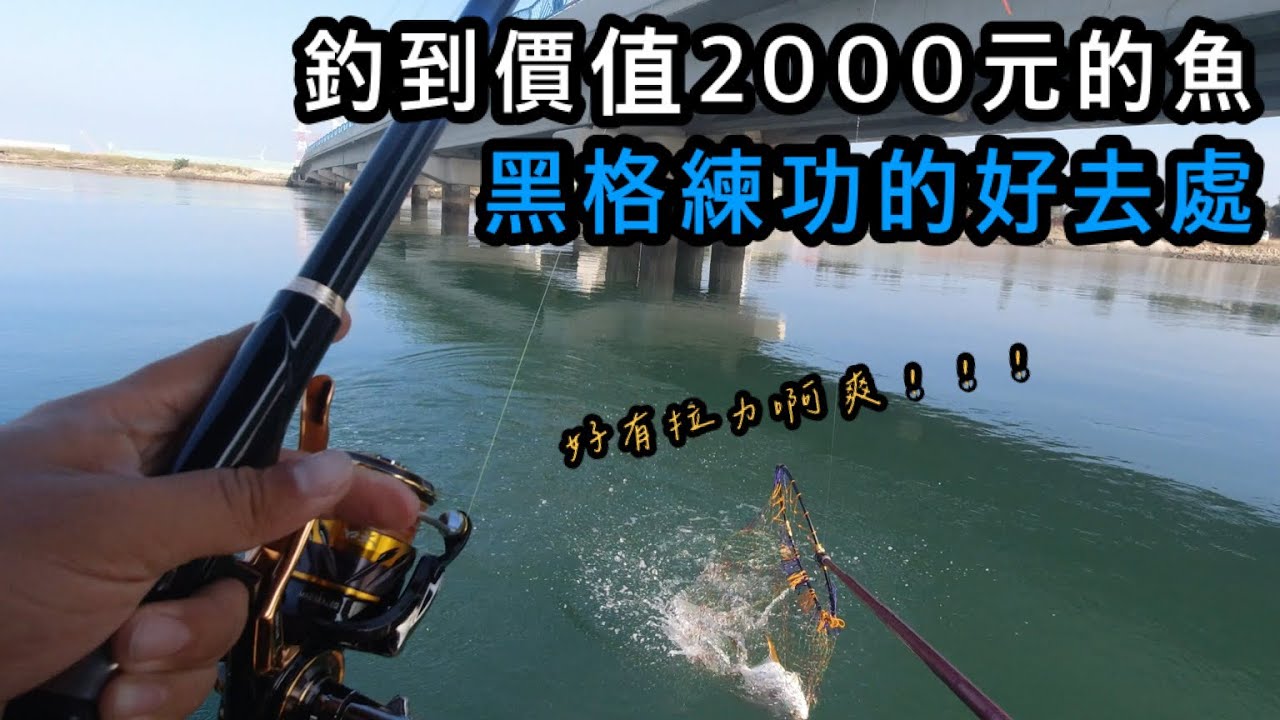 『蚵棚系列』久違的線西蚵棚 還是一樣一點都不無聊 連第一次來的朋友都釣到黑牛 真爽！！！#巴斯 #磯釣 #線西蚵棚  #釣魚 #taiwan #taiwanfishing