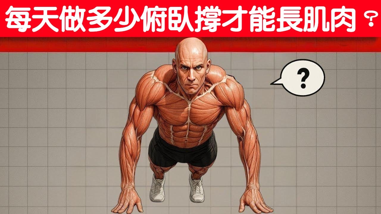 每天應該做多少個俯臥撐來鍛鍊肌肉   How Many Pushups Should You Do a Day to Build Muscle