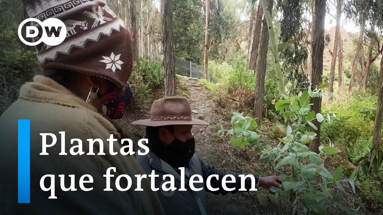 Los límites de la medicina tradicional