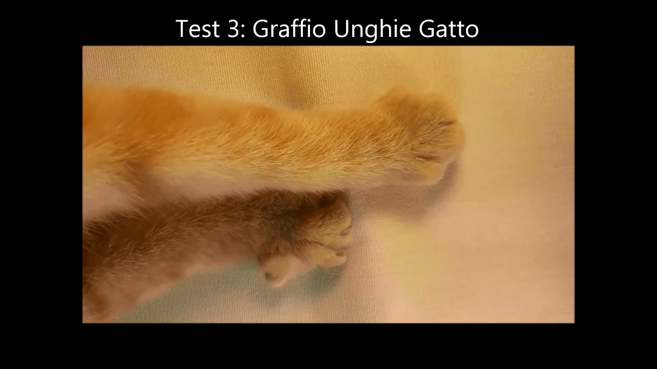 Tessuto Anti Graffio Per Divani. Il  Miglior Tessuto Anti Gatto Per Proteggere il tuo salotto.