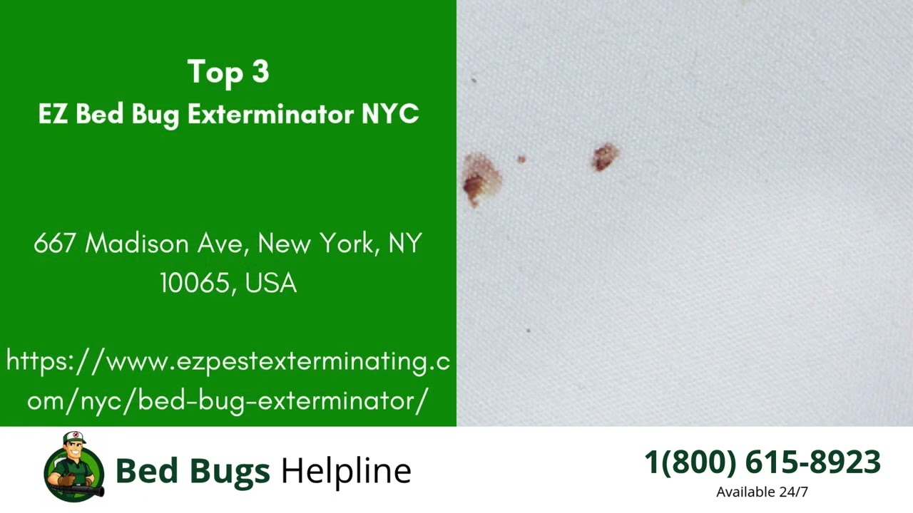 Top 3 Bed Bug Removal in Elizabeth