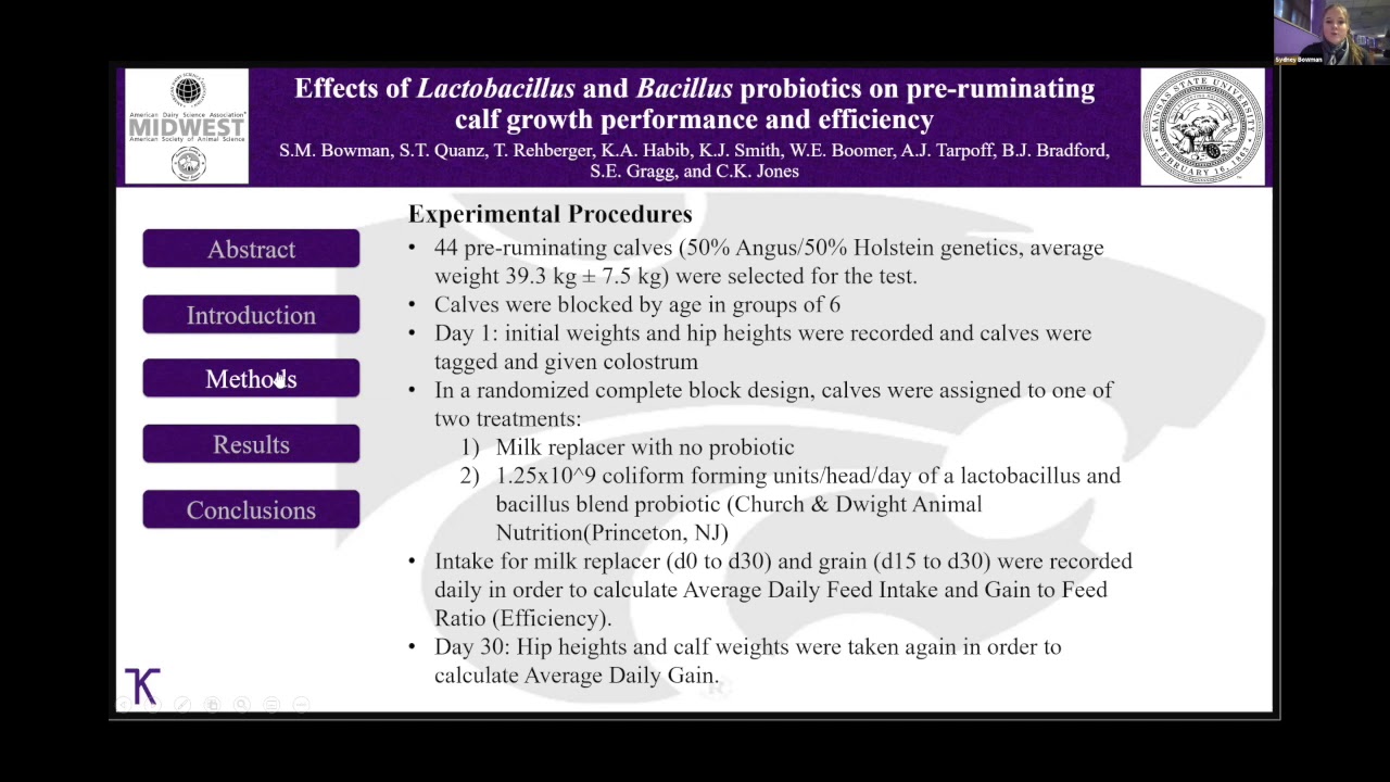 Effects of Lactobacillus & Bacillus probiotic on pre-ruminating calf growth performance & efficiency