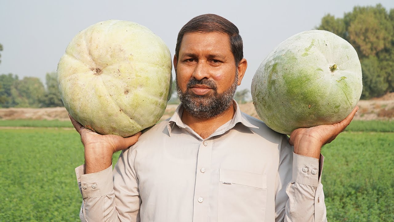 32kg Pethe ka halwa By Pakistani Village Food - Making Ash Gourd Sweet At Home
