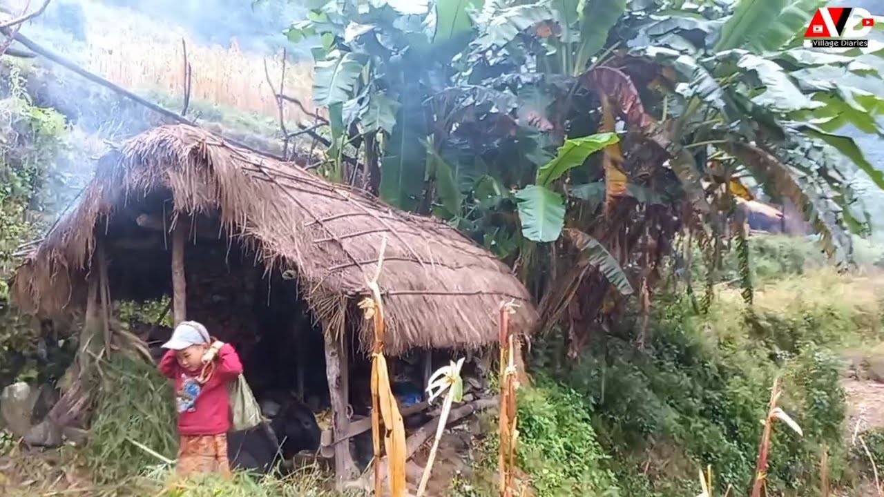 Nepali village life. नेपालका ग्रामिण जनजीवन। village diary.
