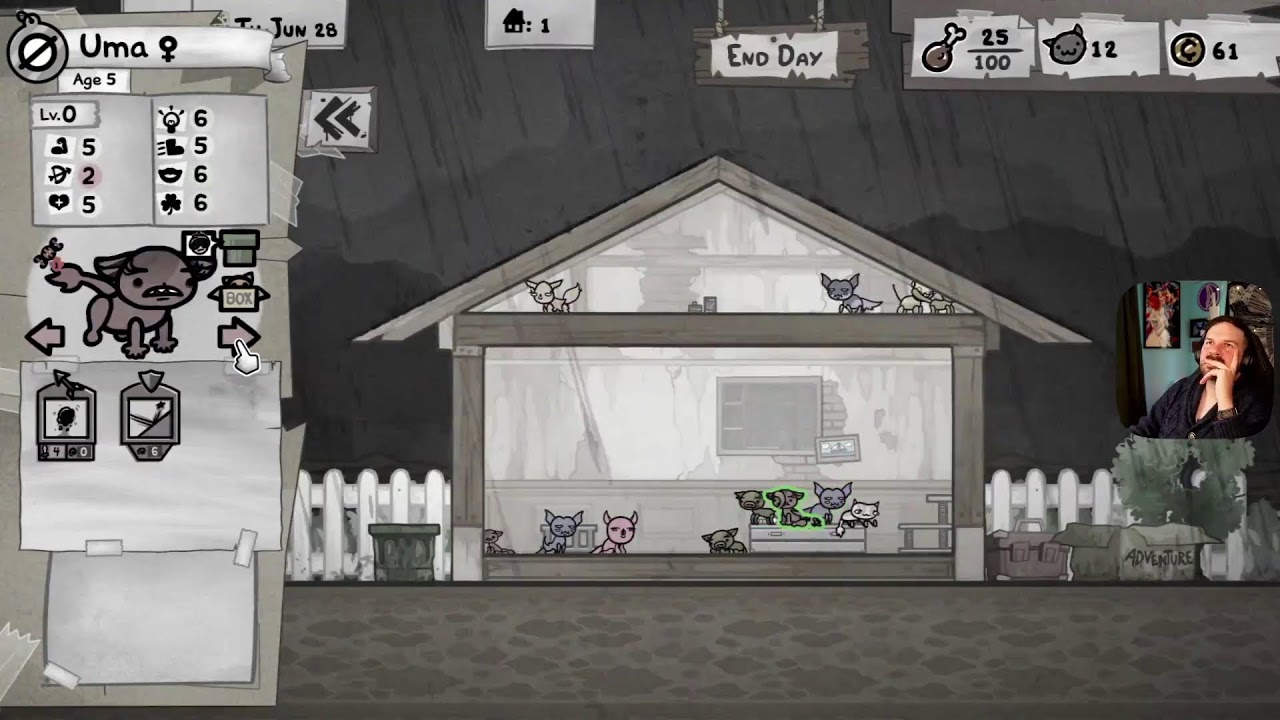 A Normal Cat Game