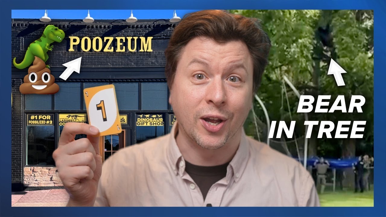 Tranquilized Bear Falls From Tree, Poozeum Of Fossilized 💩 Opens, Uno Is #1 |  Weird News