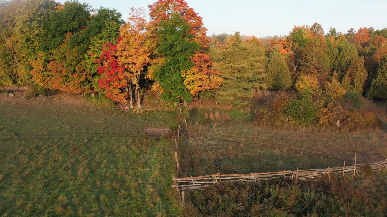 Fall Color Drone Flight