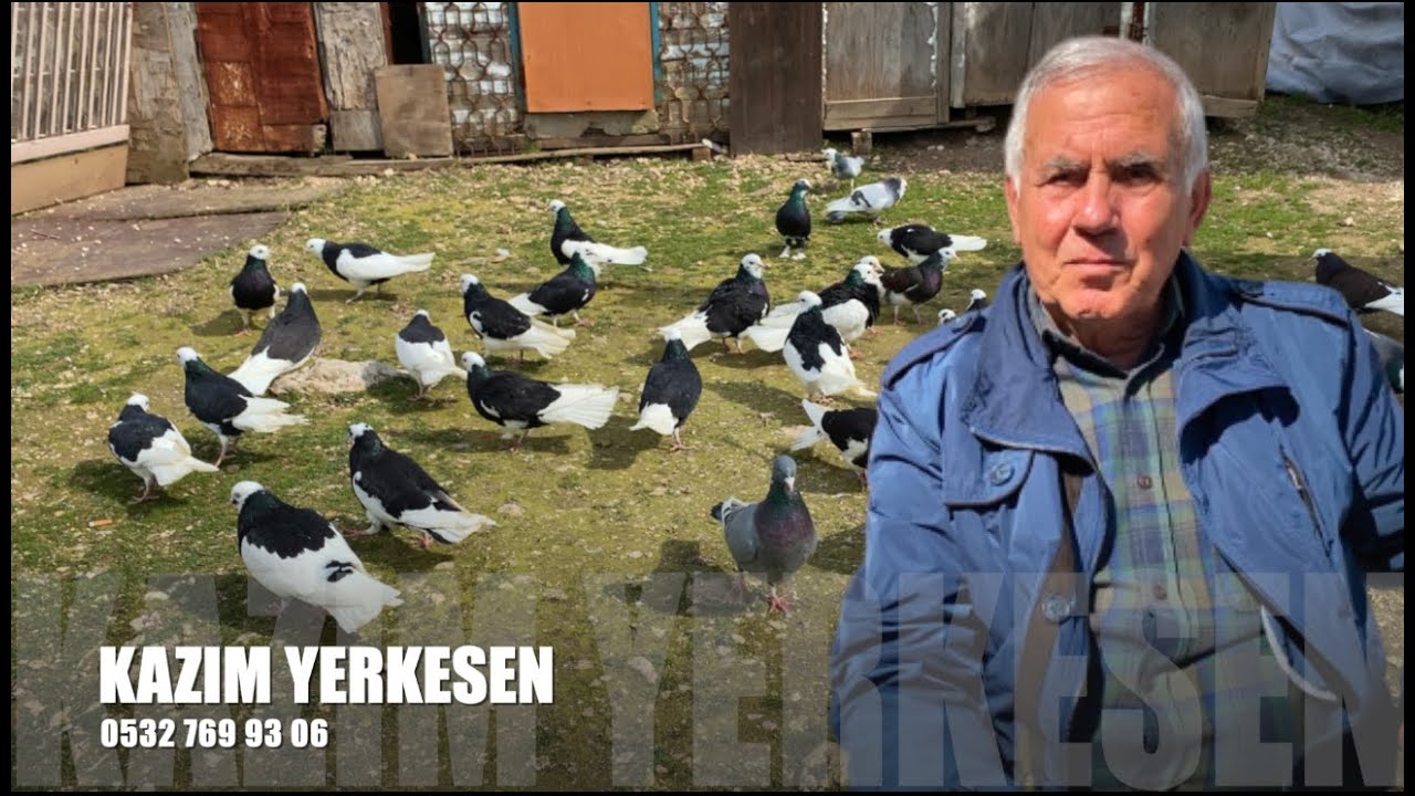 Dönek Güvercin Sohbeti Kazım Yerkesen (Hastaneci)
