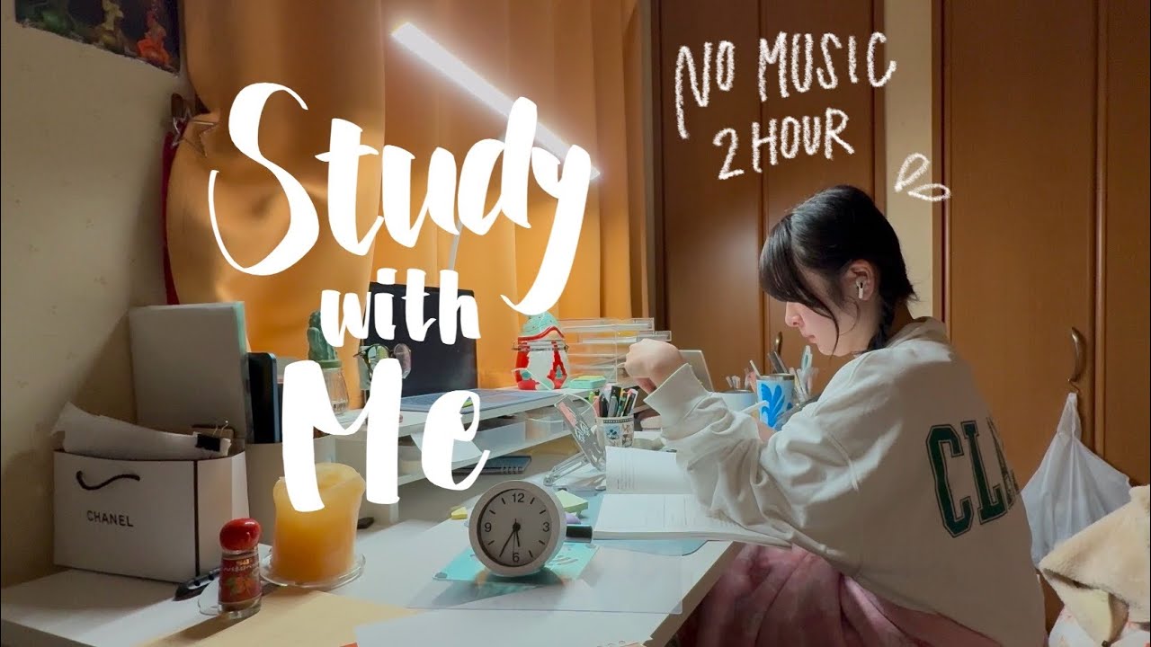 19時間勉強した日の7時間目【17:10-19:10】 study with me