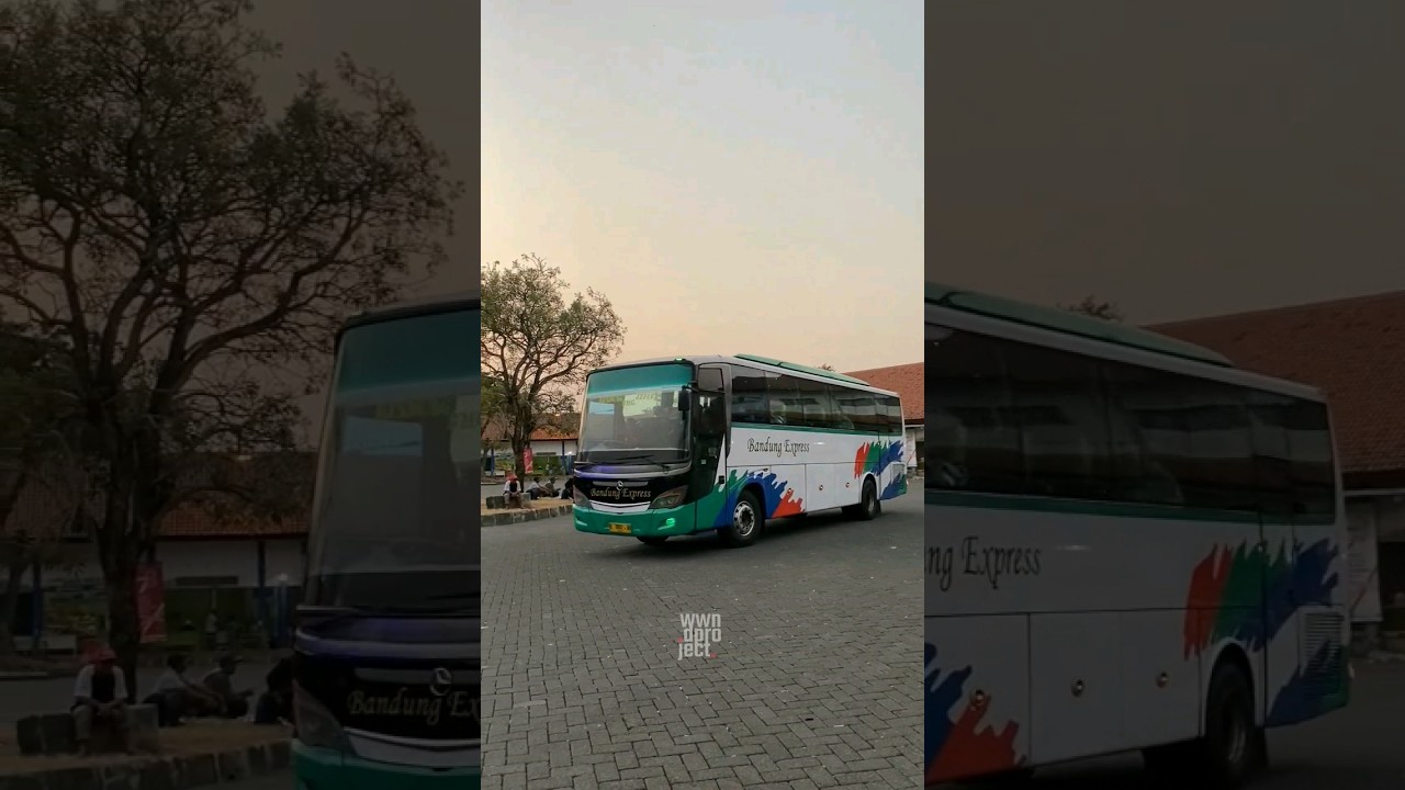 BANDUNG EXPRESS SATU2NYA DI TERMINAL❗#busakap #bandungexpress #busmania
