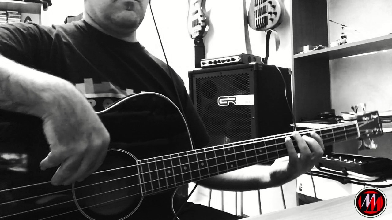 The Police - 'So Lonely' -  Acoustic Bass Cover