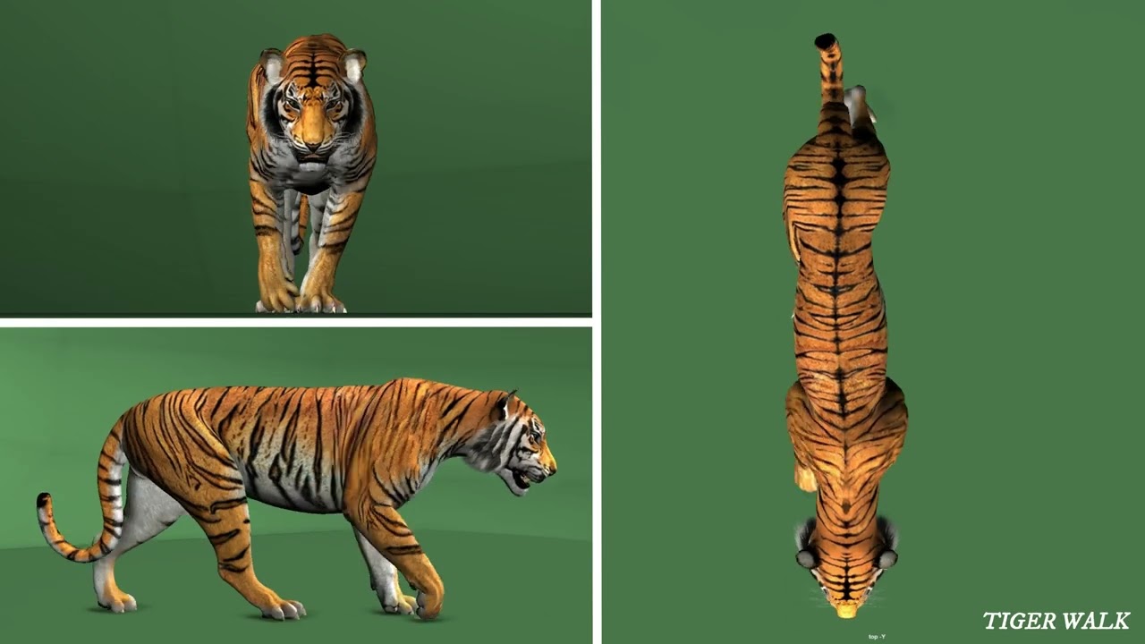 Modelling & Animation Showreel