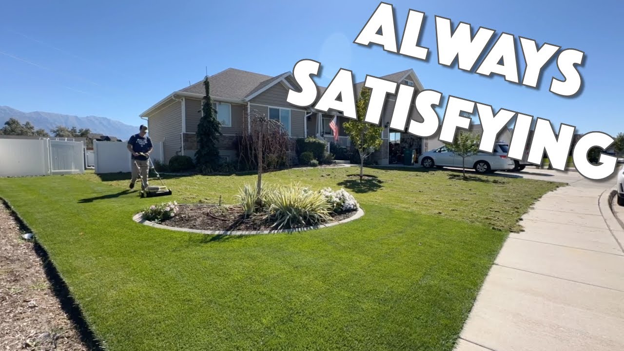 I'll NEVER STOP Dethaching My Lawn