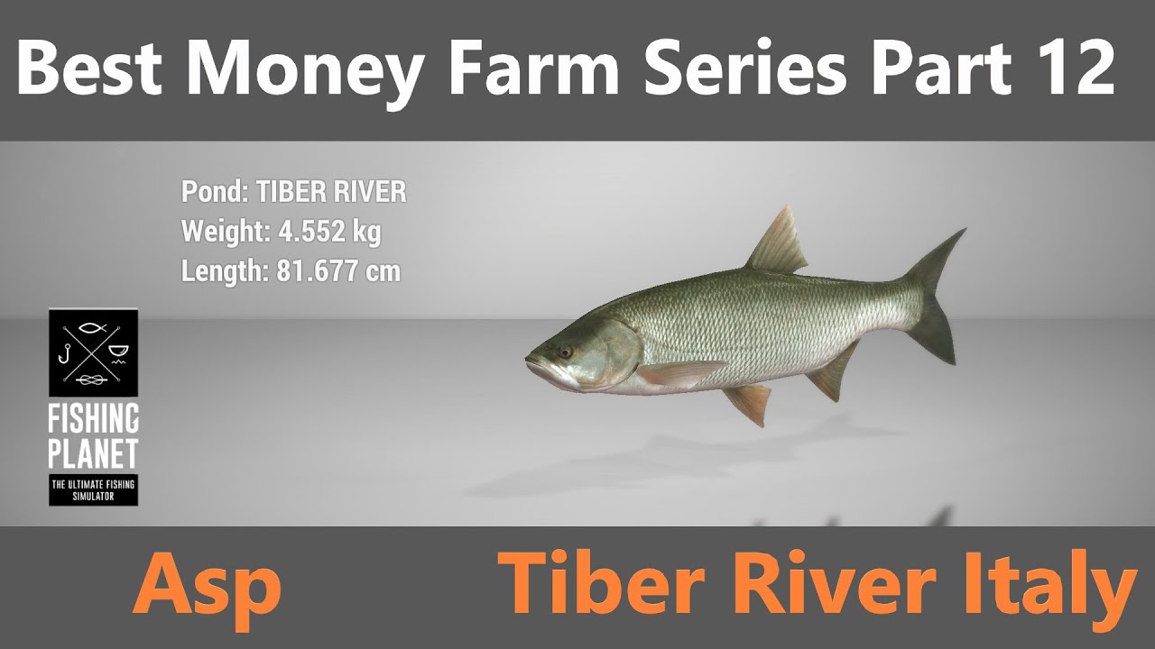 Fishing Planet, Best Money Farm Series Part 12, Asp, Tiber River Italy