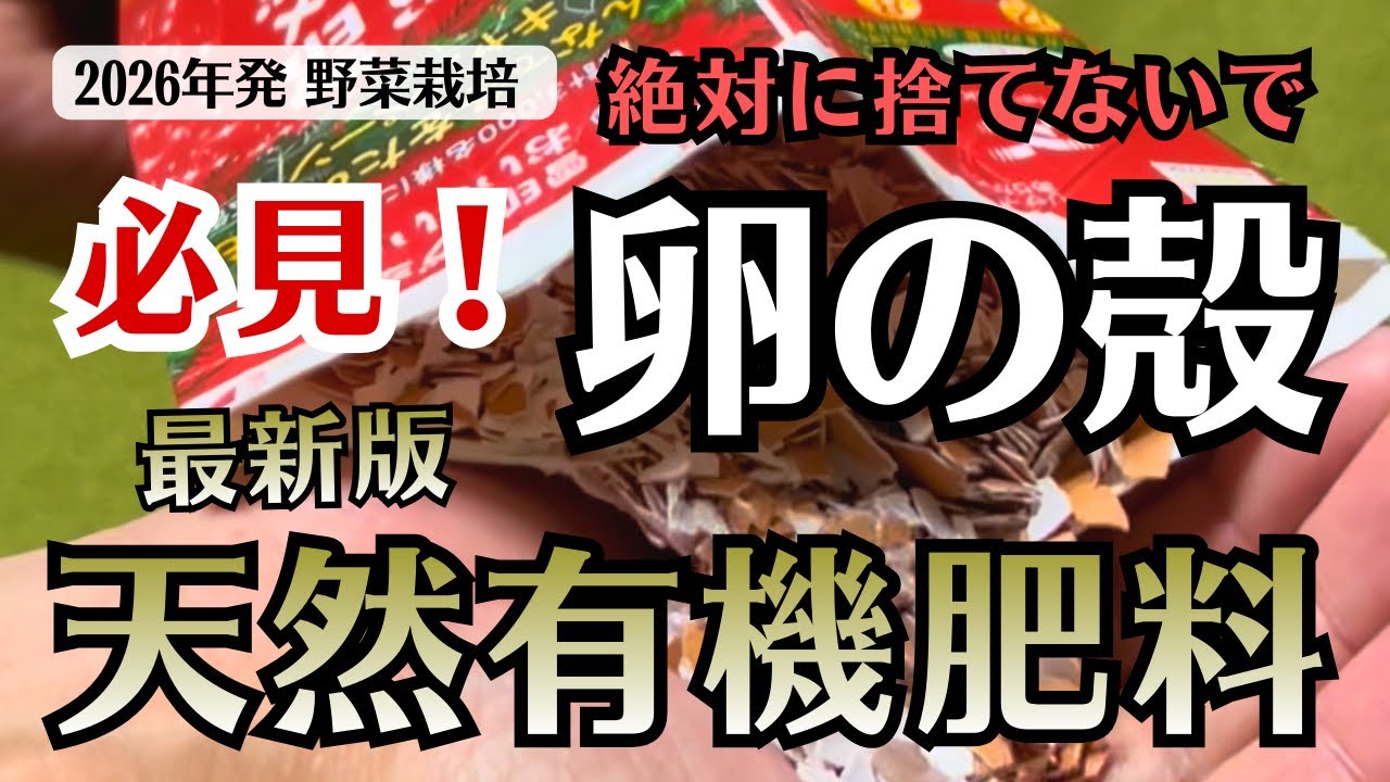【卵の殻有機肥料】卵の殻は絶対に捨てないで！アミノ酸たっぷりでお野菜も大喜び