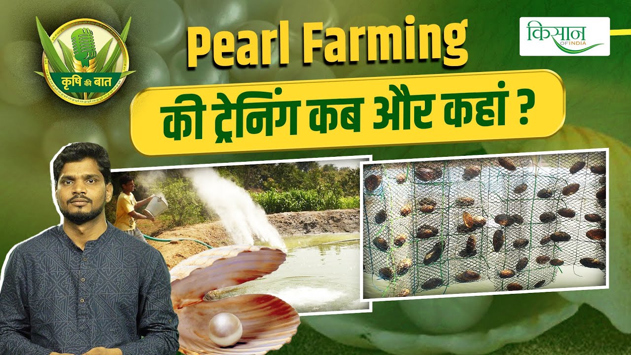 CIFA से लें Pearl Farming की Training और शुरू करें Business | Moti Ki Kheti | Pearl Farming In India