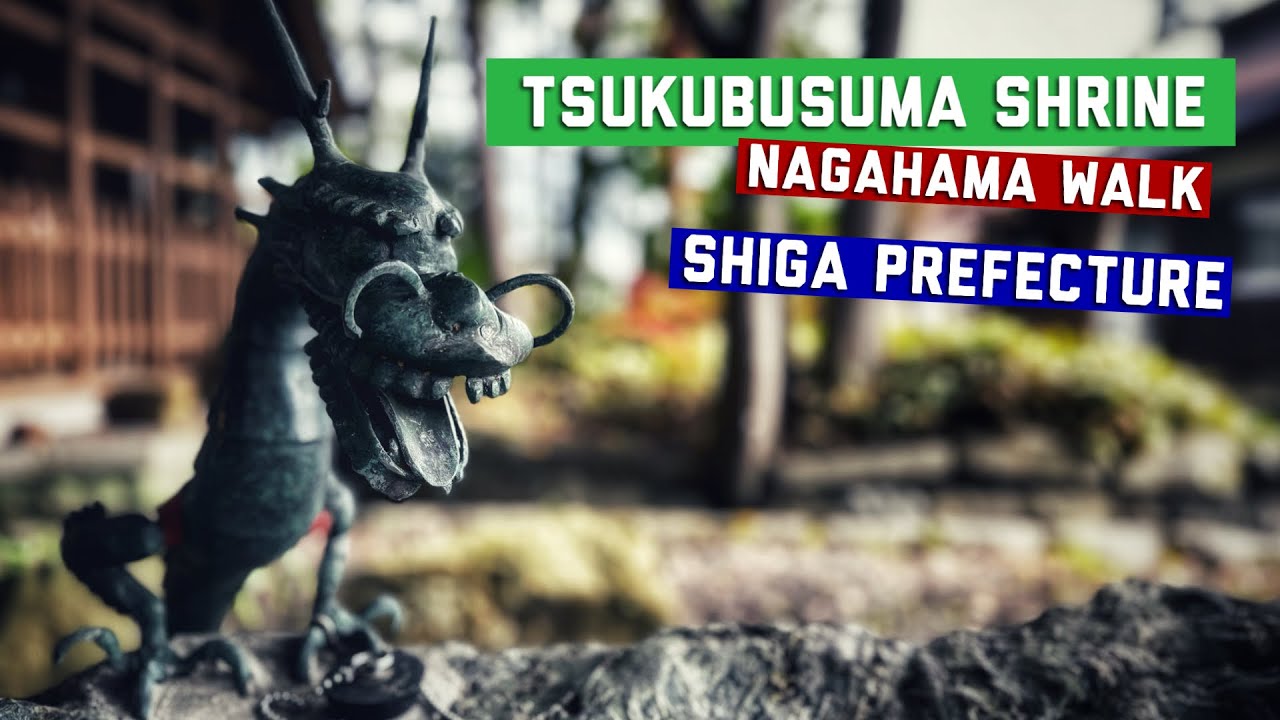 Nagahama Walk: Tsukubusuma Shrine