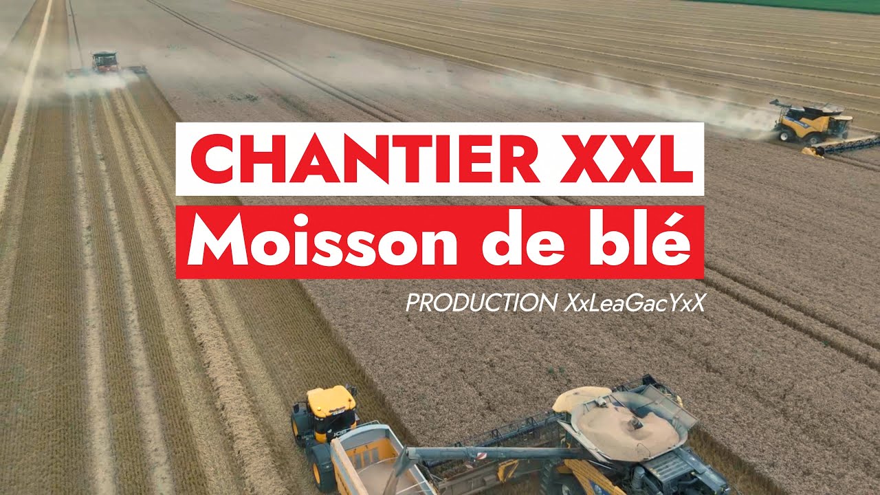 Un chantier hors normes avec 36 m&egrave;tres de coupe !