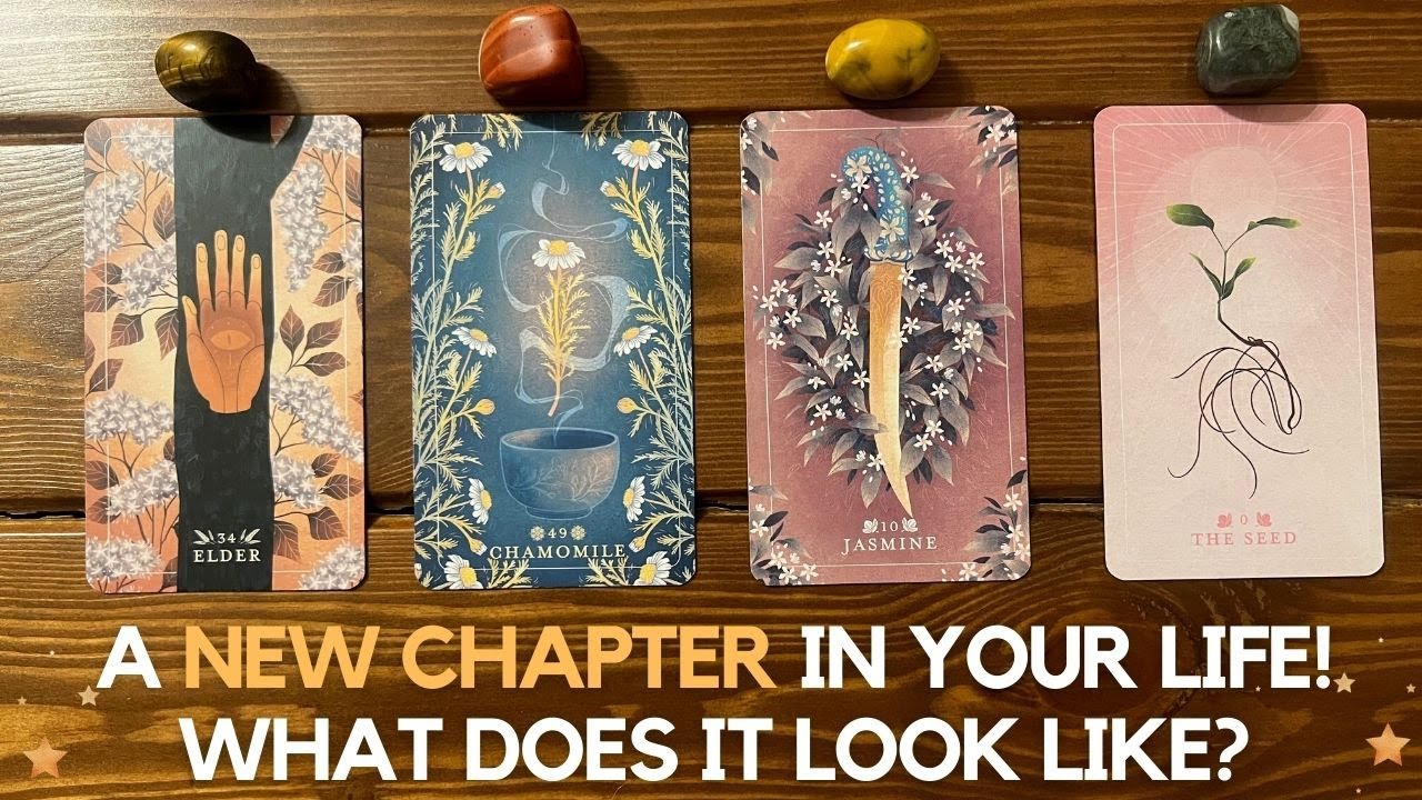 A New Chapter in Your Life! 🖼 What Does It Look Like? ✨😍✨ | Pick a card