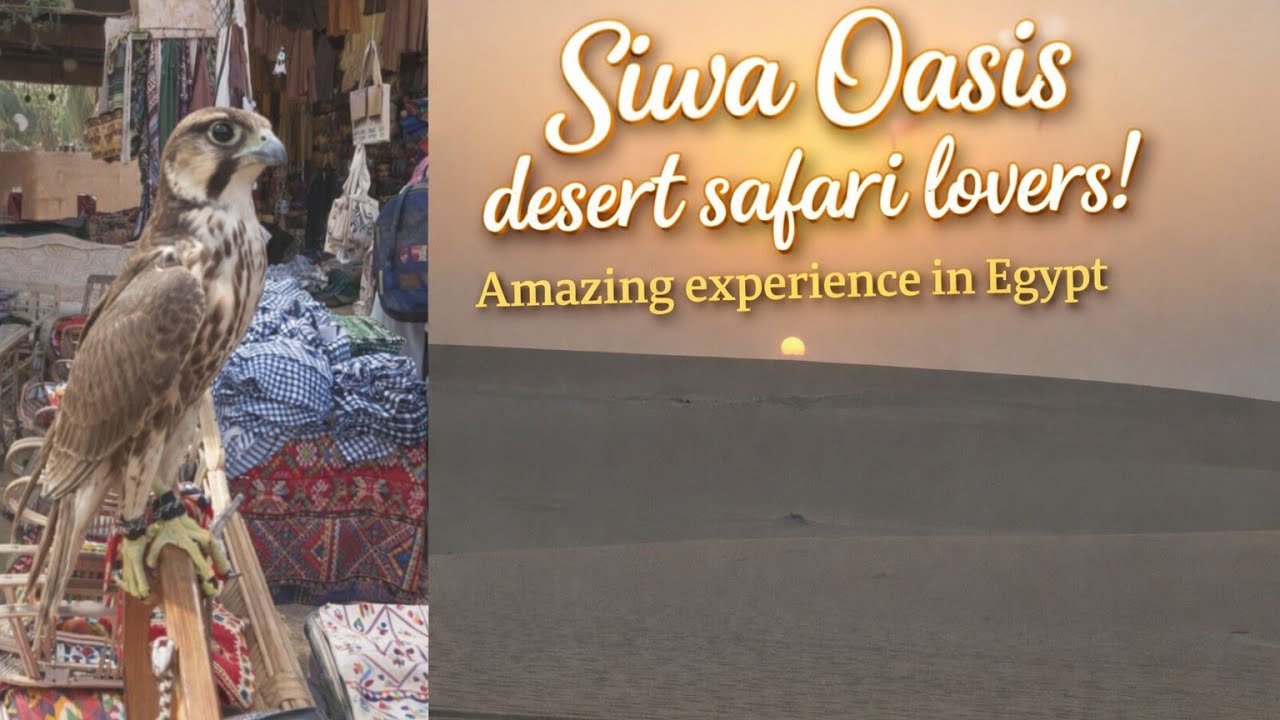 Siwa Oasis Desert Safari Egypt 🇪🇬 | Hidden Paradise for Nature & Adventure Lovers
