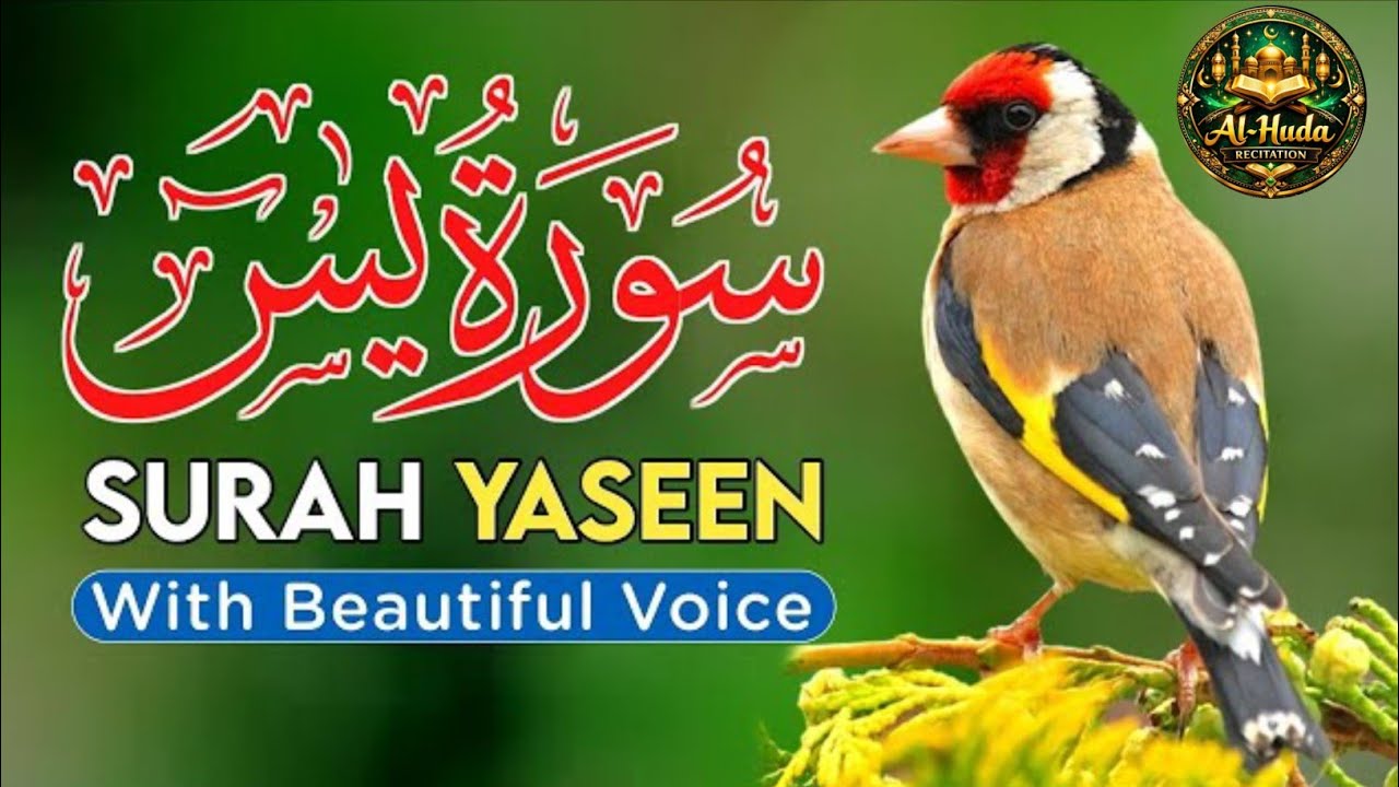 Surah Yaseen Full | Emotional Quran Recitation | Full HD | Heart Touching Quran Recitation