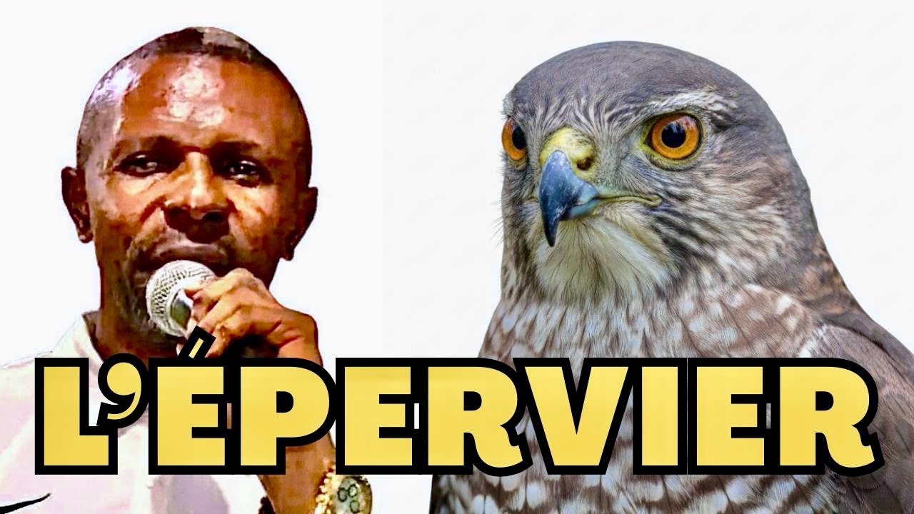L’ÉPERVIER #1 par Prophète Jean-Bosco Mbombi