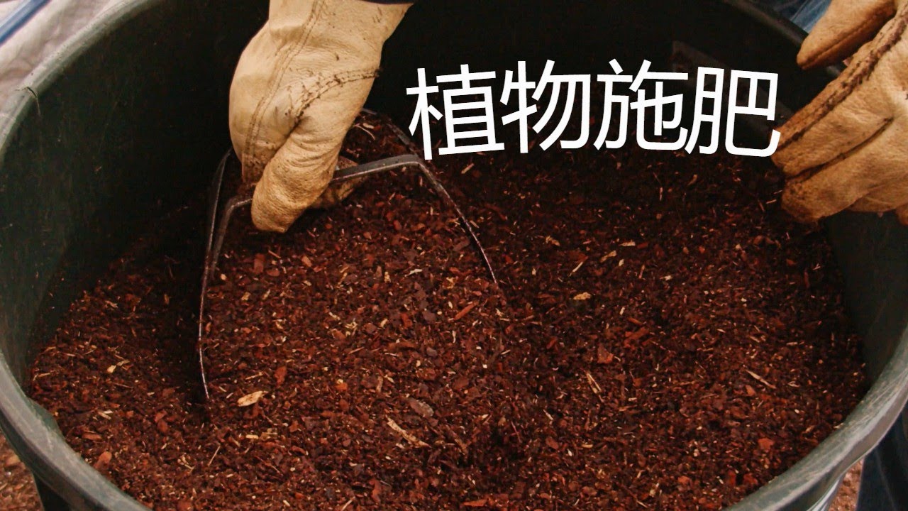 植物施肥 有机肥和无机肥 NPK 种菜种花的关键！Fertilization techniques