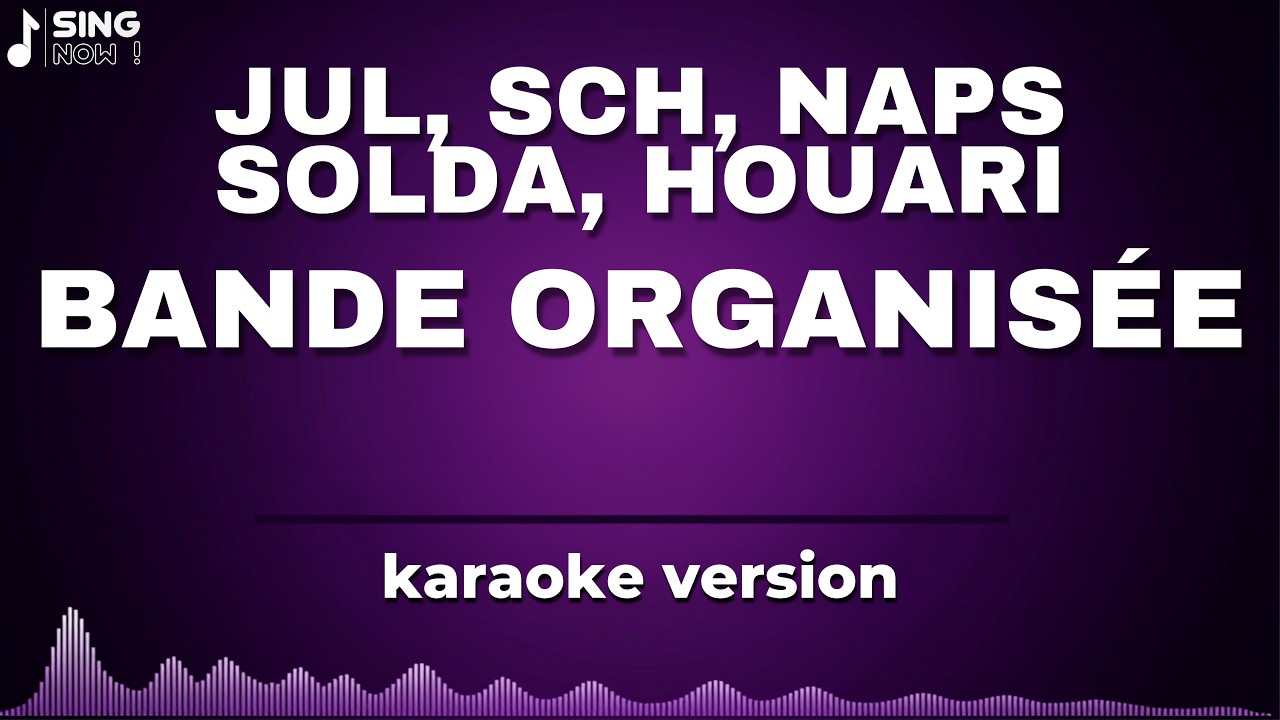 BANDE ORGANISÉE - JUL, SCH, NAPS, SOLDA, HOUARI