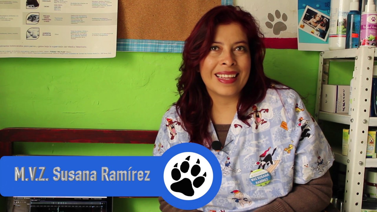 UVAQ esterilización mascotas