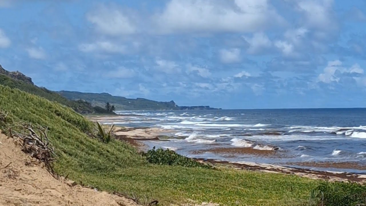 one hour of the sound of wind and waves. East Coast 