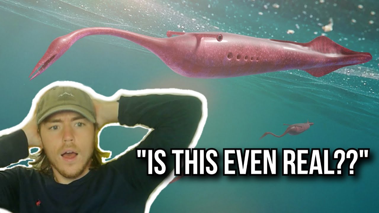 Fish Biologist Reacts To 