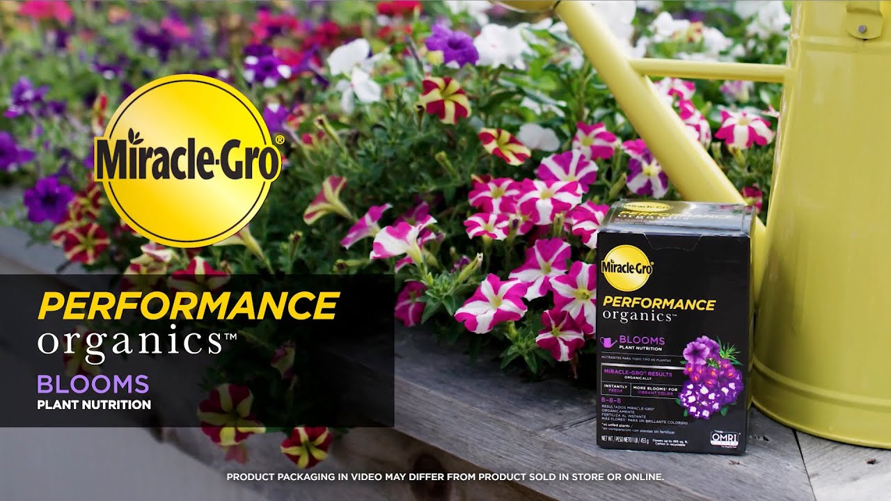 How To Use Miracle-Gro&reg; Performance Organics&reg; Blooms Water Soluble Plant Nutrition