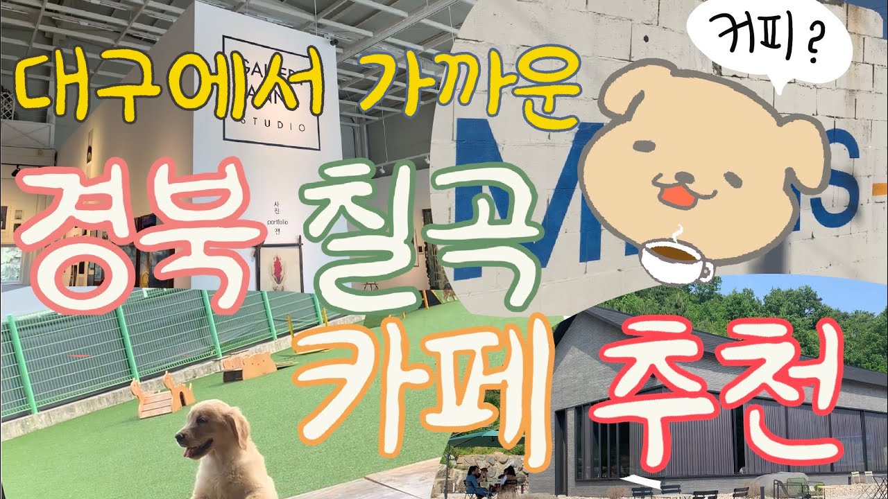 [SOOPY☕️] 대구에서 가까운 카페추천 1탄! (🌿경북 칠곡)
