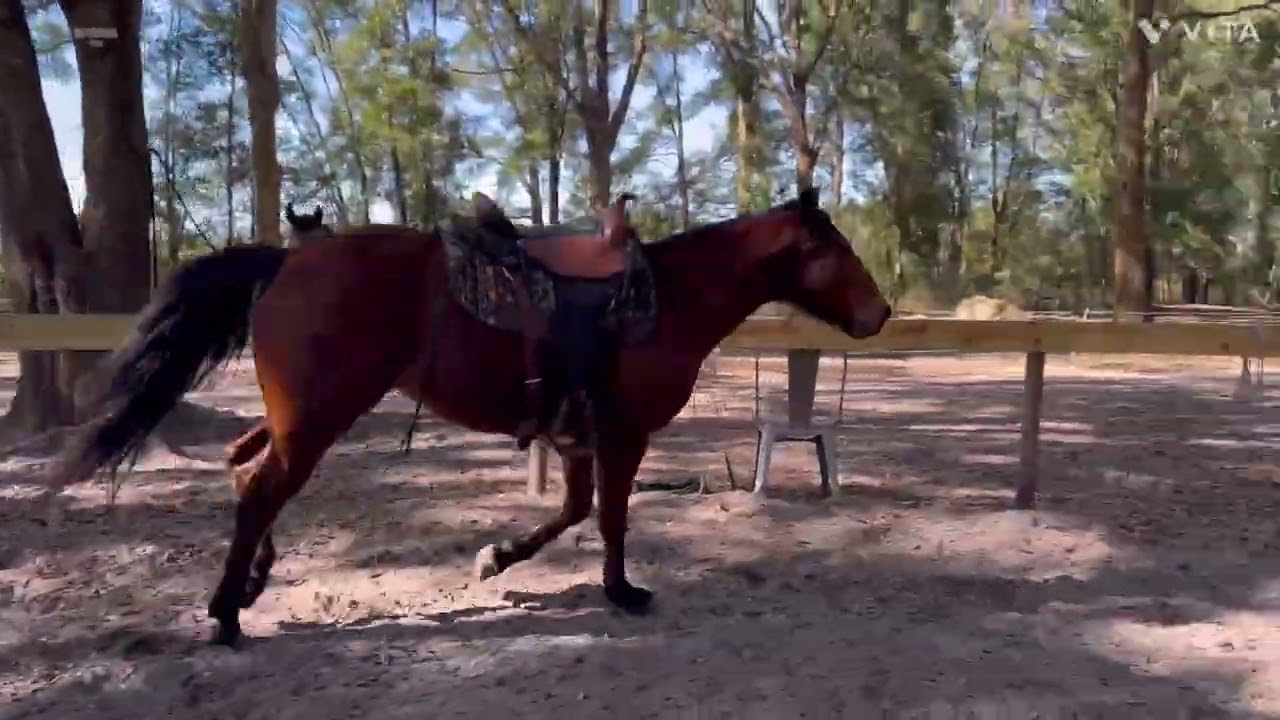  Calamity Jane