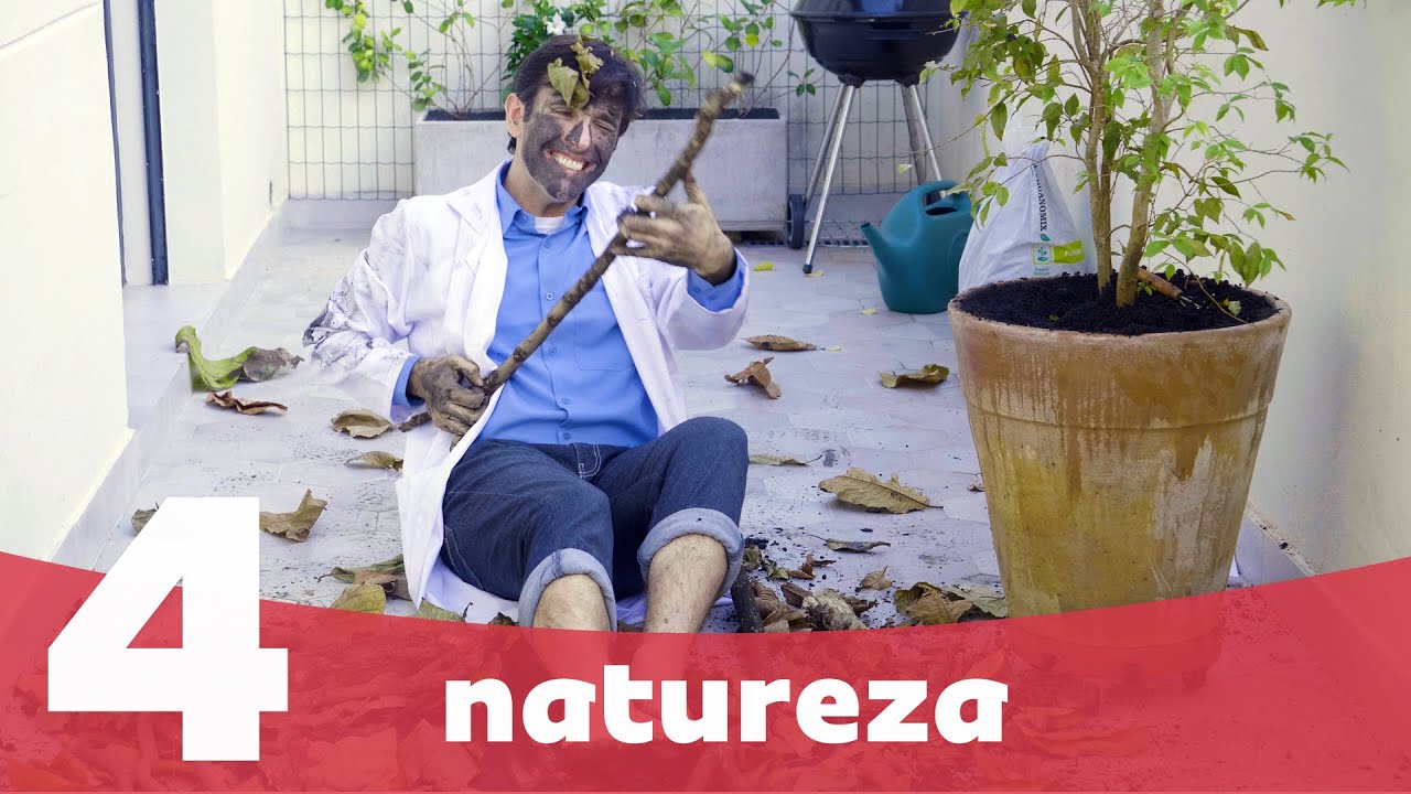 Por que as crianças precisam de contato com a natureza? | Casa da Saúde