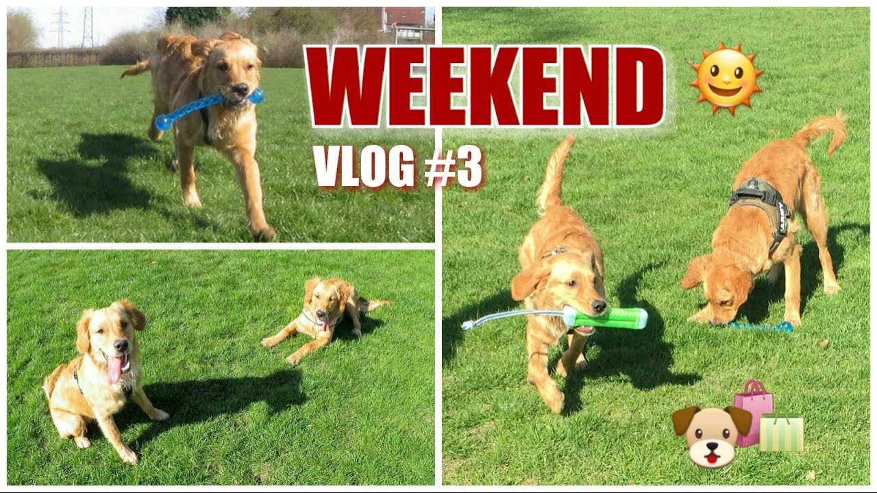 VLOG #3 / Futterhaus / Augenkrankheit / Bruder treffen