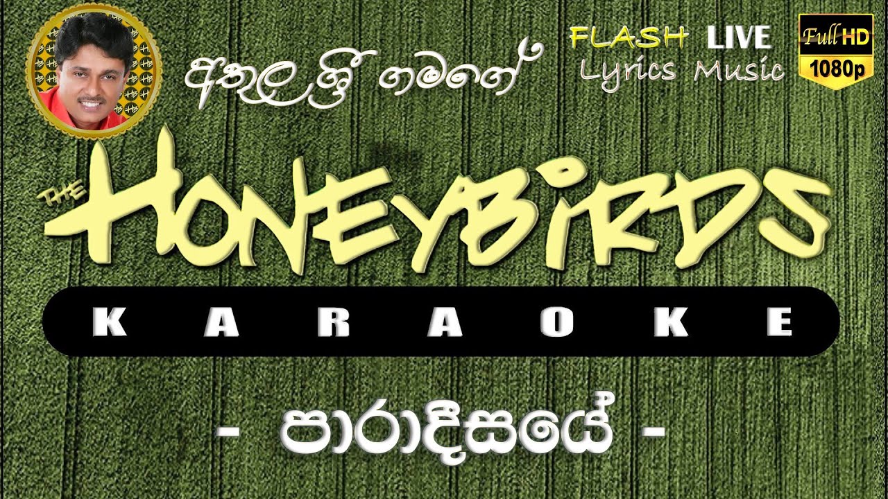 Paradisaye Ae Ha Yawela Karaoke (Without Voice) පාරාදීසයේ ඈ හා යාවෙලා කැරෝකේ