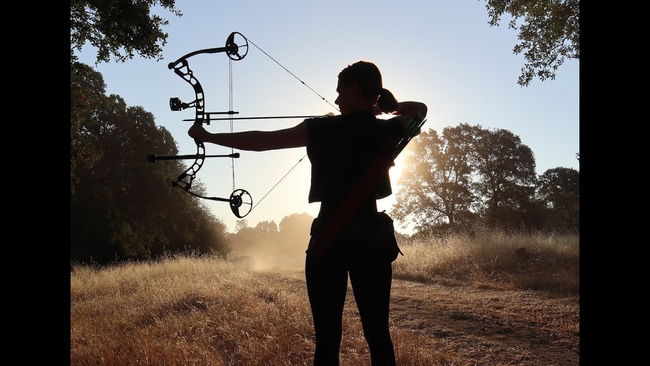 I went robot hunting with a bow and arrow