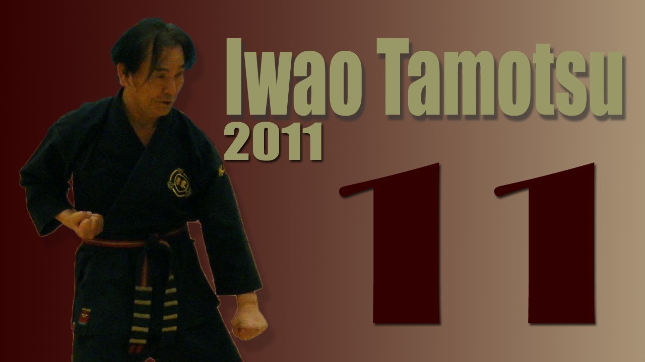 Renshinkan summer seminar 17.-19.6.2011 part 11